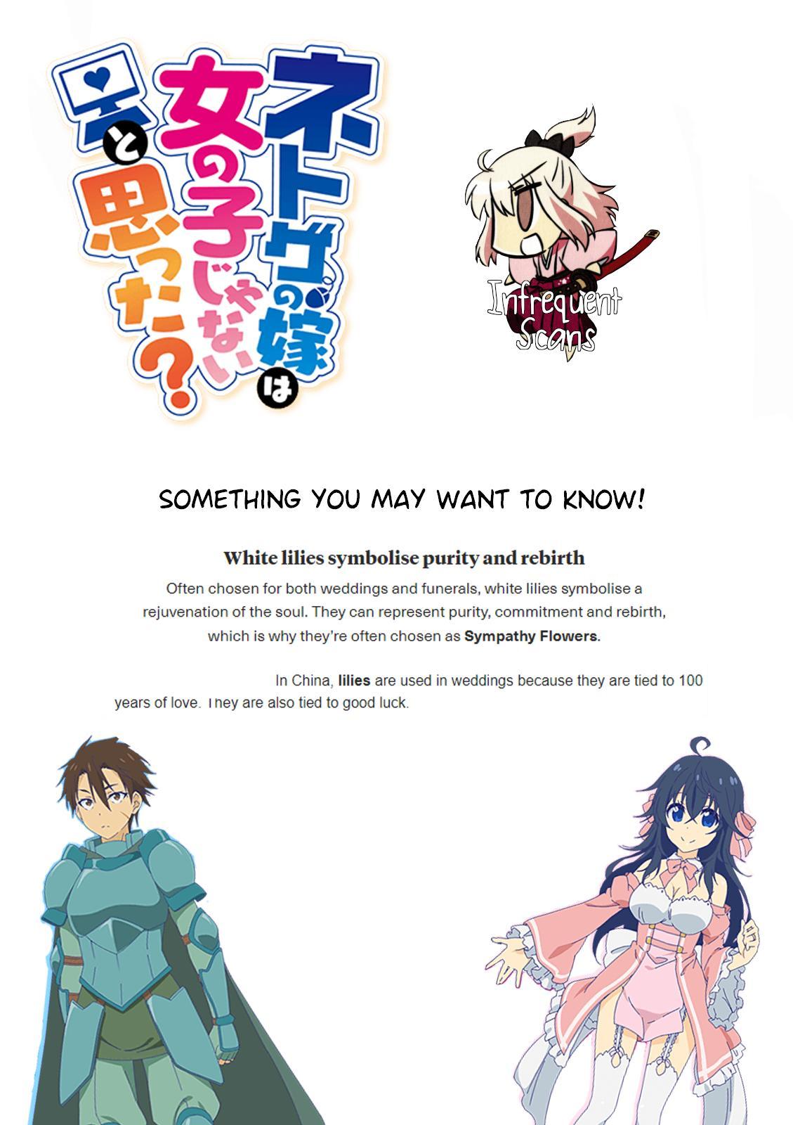 Netgame no Yome wa Onna no Ko ja nai to Omotta? - episode 36 - 33